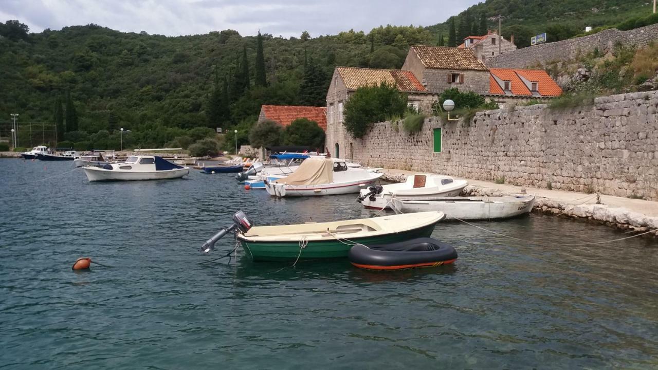 Vesna - Your Best Choice - 80 M From Beach Zaton  Buitenkant foto