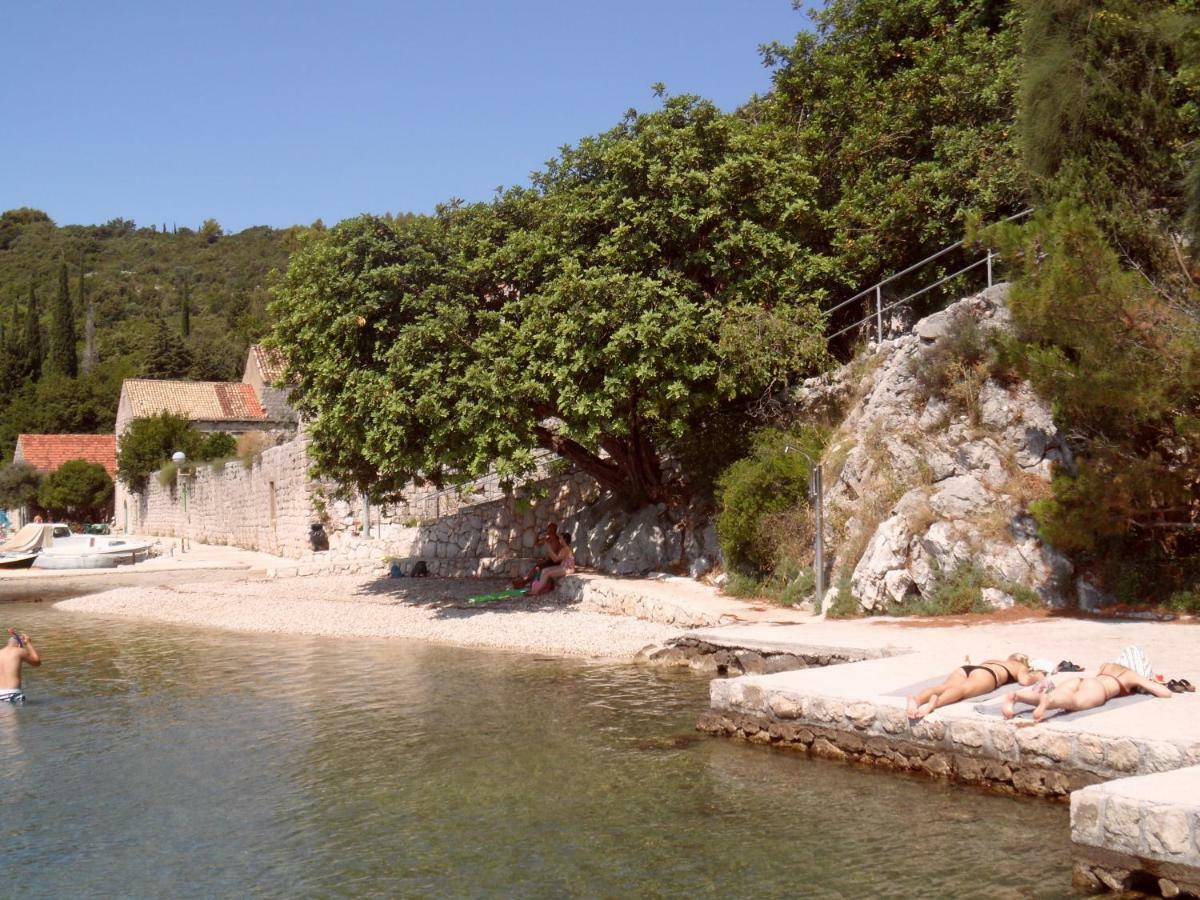 Vesna - Your Best Choice - 80 M From Beach Zaton  Buitenkant foto
